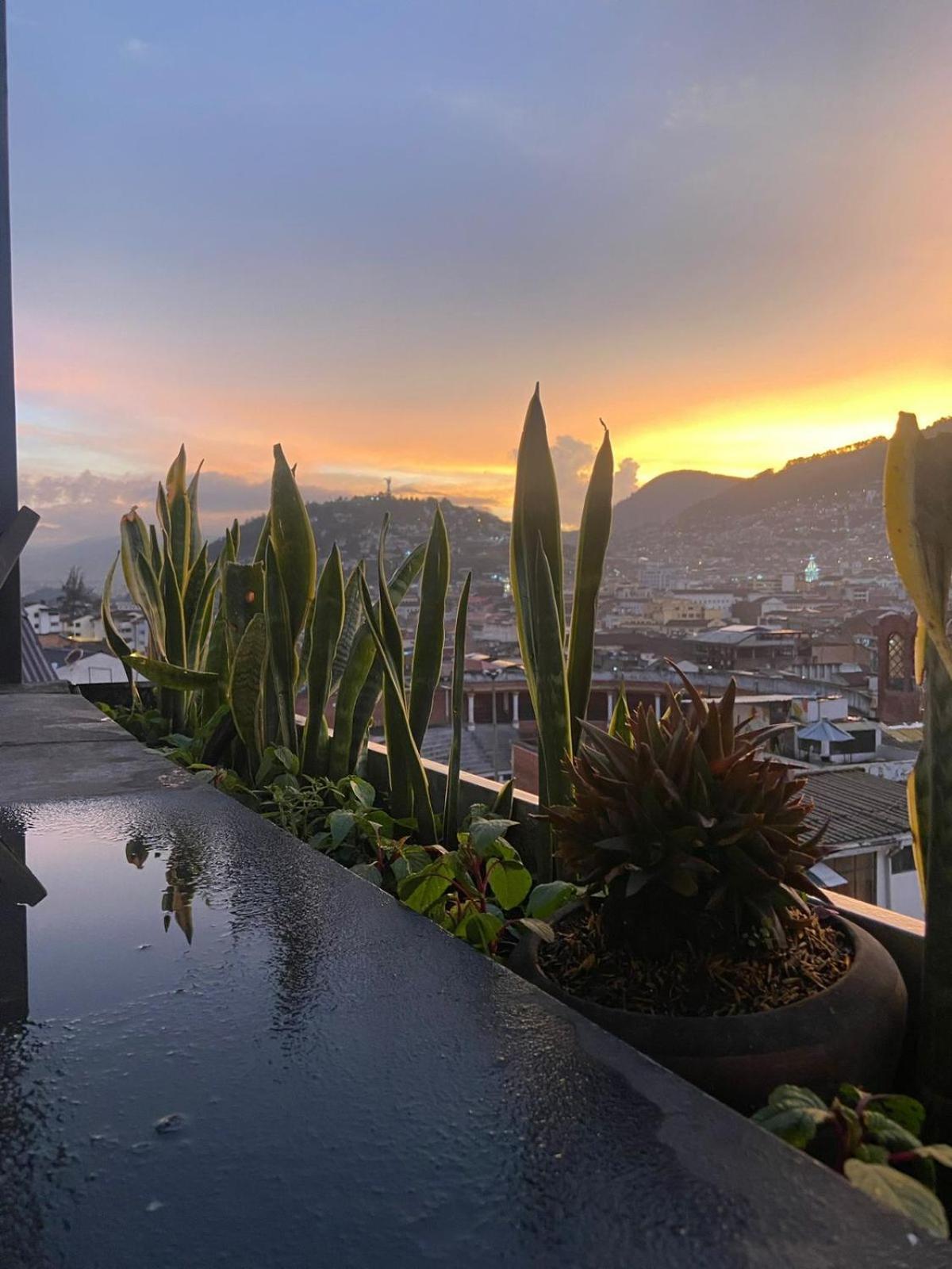 Hostal La Guayunga Rooftop Quito Esterno foto